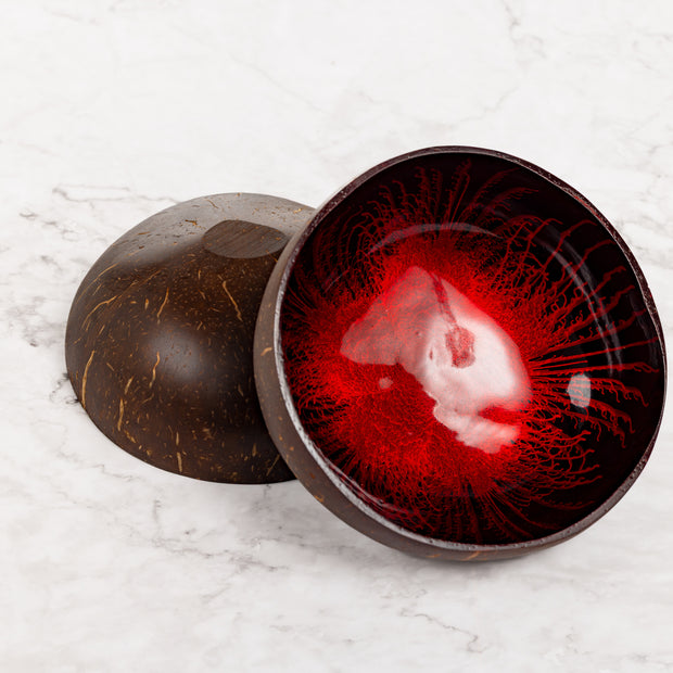 Handcrafted Coconut Shell Serving Bowl