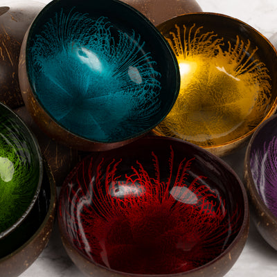 Handcrafted Coconut Shell Serving Bowl